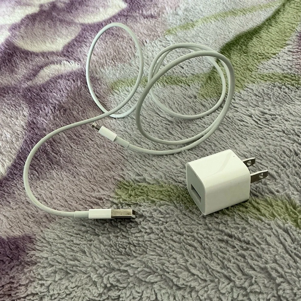 Apple Charger